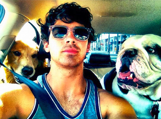 Married To Jonas, Twit Pic Married To Jonas, Twit Pic